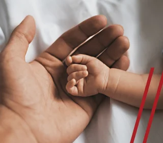Paternity